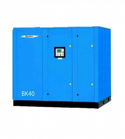 На сайте Трейдимпорт можно недорого купить Компрессор винтовой Remeza ВК40-13ВС. 